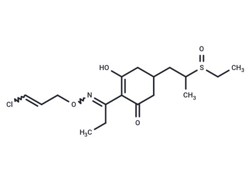 Clethodim sulfoxide (Standard)