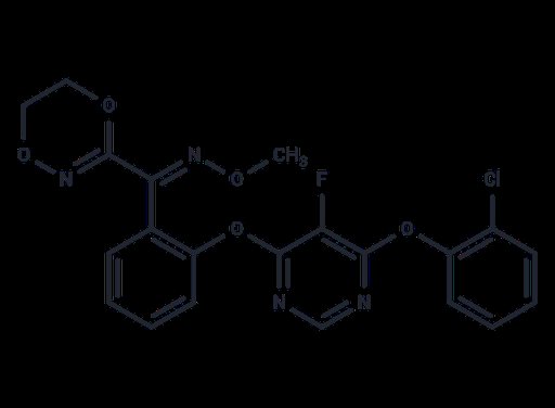Fluoxastrobin (Standard)