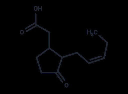 Jasmonic Acid (mixture of isomers) (Standard)