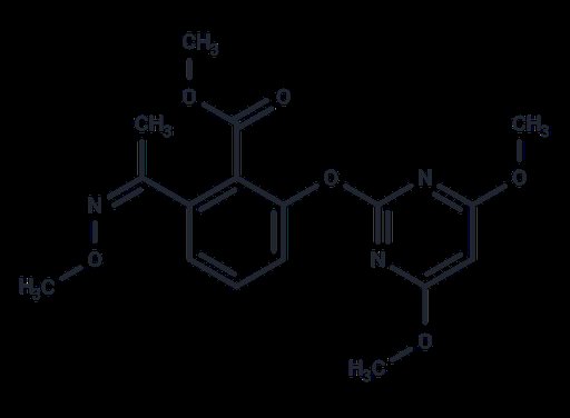 (Z)-Pyriminobac-methyl (Standard)