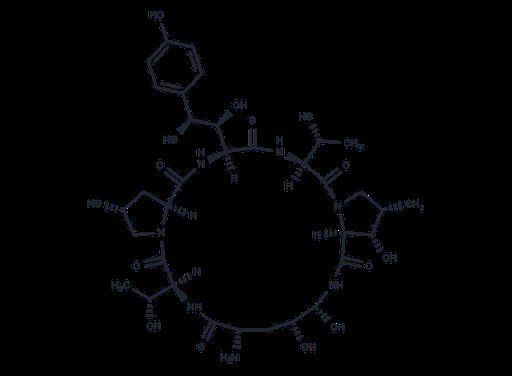 Echinocandin B nucleus