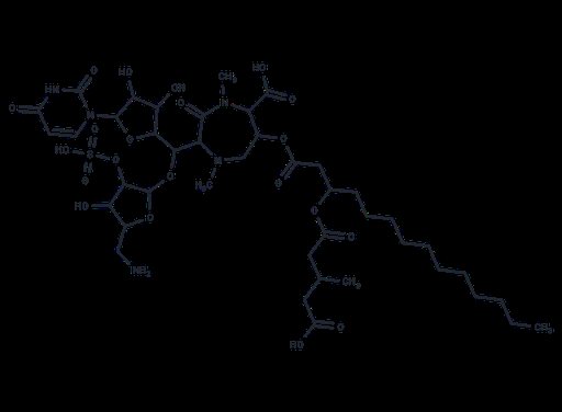 Liposidomycin C