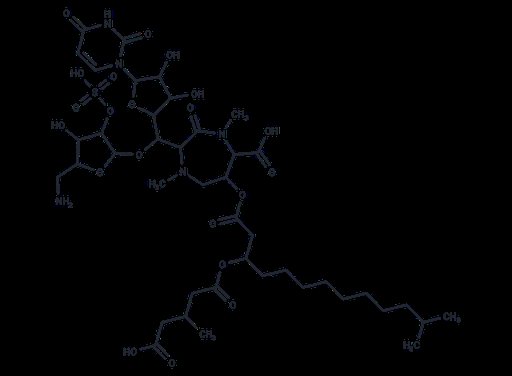 Liposidomycin B