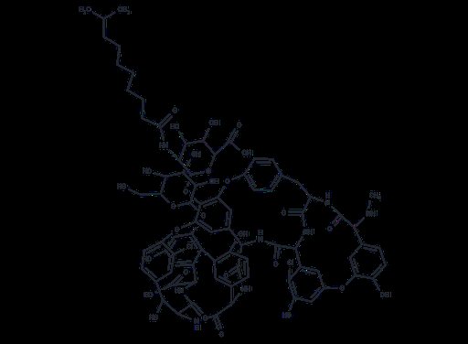 Parvodicin B1