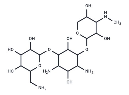 2-Hydroxygentamicin A3