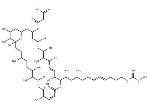 Neocopiamycin B
