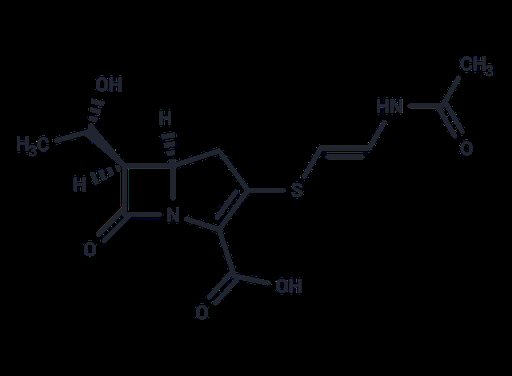 Epithienamycin B