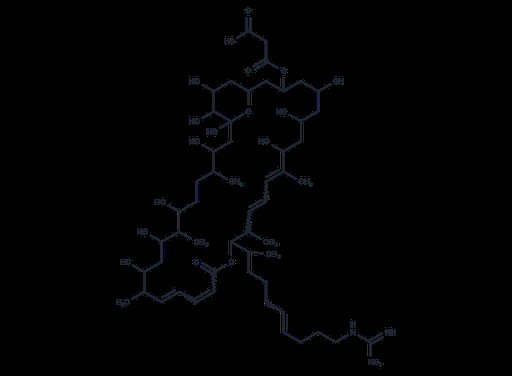 Kanchanamycin C