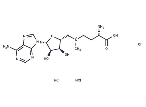 S-Adenosyl-L-methionine chloride dihydrochloride