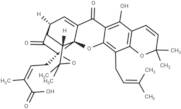 Morellic acid