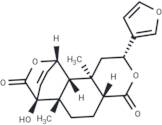 Isocolumbin