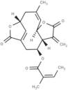 Isoscabertopin