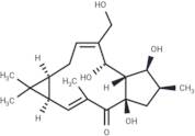 17-Hydroxyisolathyrol