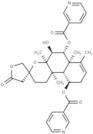 6-O-Nicotinoylscutebarbatine G