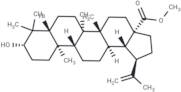 Betulinic acid methyl ester