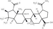 Ceanothic acid