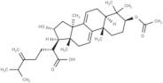 Dehydropachymic acid