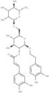 Forsythoside H