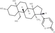 Hellebrigenol