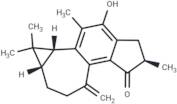 Jatropholone B