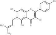 Licoflavonol