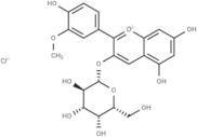 Peonidin-3-O-galactoside chloride