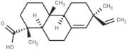 Pimaric acid