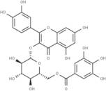 Quercetin 3-O-(6''-O-galloyl)-β-D-glucoside