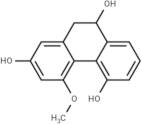 Rotundatin