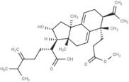 Poricoic acid AM