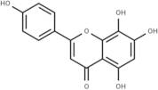 8-Hydroxyapigenin