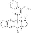 Isopicropodophyllone