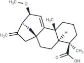 12α-Methoxygrandiflorenic acid