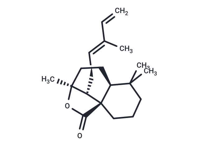 12E,14-Labdadien-20,8β-olide