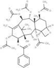 14β-Benzoyloxy-2-deacetylbaccatin VI