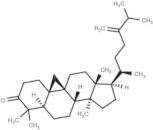 24-Methylenecycloartanone