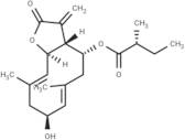 2I<<-Hydroxy-8EC-(2-methylbutyryloxy)costunolide