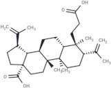 3,4-Secolupa-4(23),20(29)-diene-3,28-dioic acid