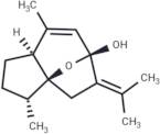 4-Epi-curcumenol