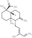 4-Epicommunic acid