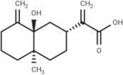 5β-Hydroxycostic acid