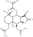 6-O-Methacrylate