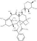 7-Xylosyl-10-deacetylbaccatin III