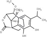 7β-Methoxyrosmanol