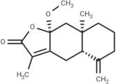 8β-Methoxyatractylenolide I