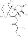 8β-Tigloyloxyreynosin