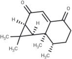 Anthracophyllone