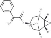 Apohyoscine