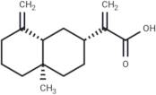 β-Costic acid