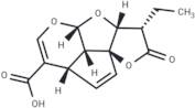 β-Dihydroplumericinic acid